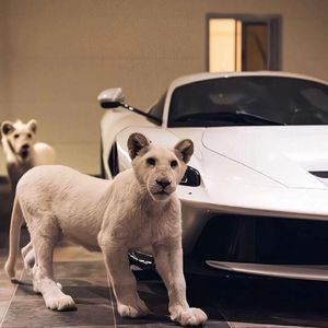 人妻少妇偷人精品视频
