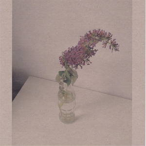 人妻少妇偷人精品视频
